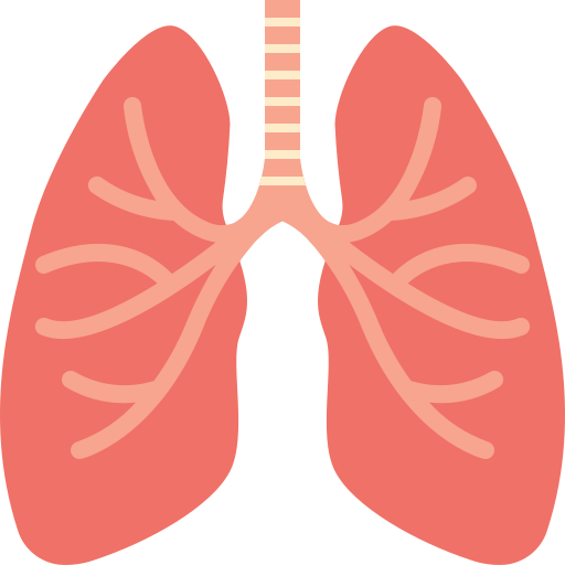 Respiratory