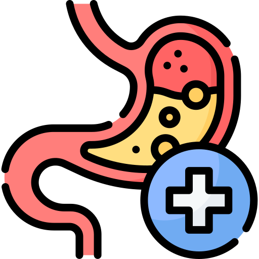 Stomach
